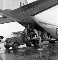 WhG9810-65.jpg