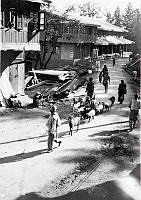 ALB1919010208.JPG