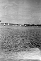 ALB2604117052.jpg