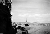 ALB1617713141.jpg