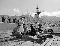 WgG500-14-82_1.jpg