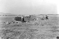 MUS100248.jpg