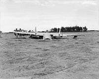 OhG9693-60.JPG