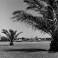 OhG5030-70_1_1.jpg