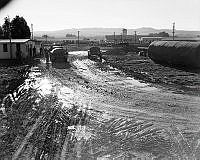 ArdG217-44.jpg