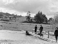 PR3371.JPG
