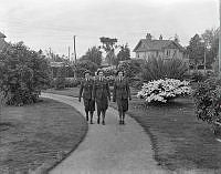 PR1943.jpg