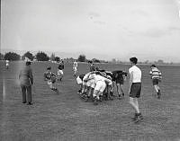 DM227-52.jpg