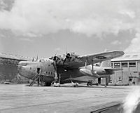 ArdG1031-45.jpg