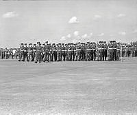 WhG553-28-81.jpg