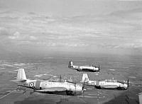 OhG4424-54.jpg
