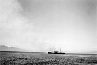 ALB1617713142.jpg