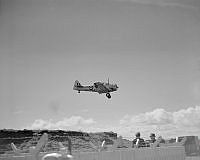 DM51-51.jpg