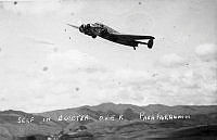 ALB2318313070.jpg