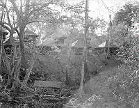 PR2313.jpg