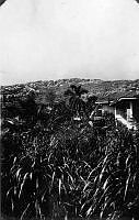 ALB845871a066.jpg