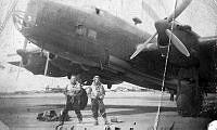 ALB1917854a001.jpg