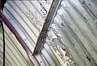MUS0102810.JPG