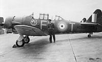 MUS1001861.jpg