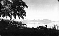 ALB021781007.jpg