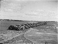 HbH191.jpg