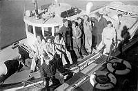 ALB2604117006.jpg