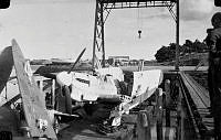 MUS030073.JPG