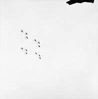 PRS368.JPG