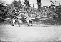2006-006.1m.jpg