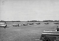ALB971531016.jpg