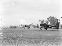 PR3247.JPG