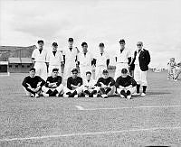 WhG3317-52_1.JPG