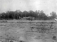 ALB971531236.jpg