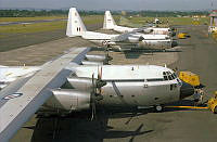 WhC439-2-79.jpg