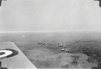 ALB1617713146.jpg