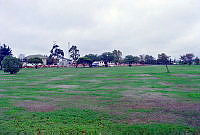 MUS980491.JPG