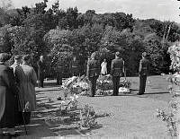 WhG3926-52_1.JPG