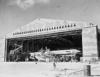 PR2445.jpg