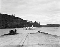 WhG5176-53_1.JPG