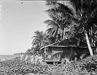 PR2040.jpg