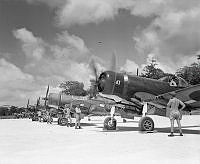 PR4372.jpg
