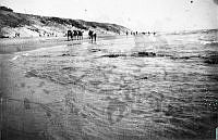 ALB191909142.JPG