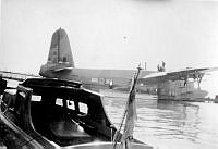 ALB2604117040.jpg