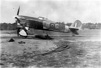 ALB198236513011.jpg