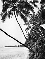 ALB10344118011.jpg