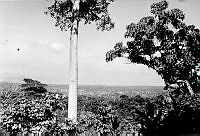 2012-222.121.jpg