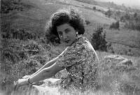 ALB198236513021.jpg