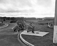 DM244-52.jpg