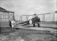 ALB8319526381.jpg