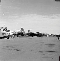ALB971531124.jpg